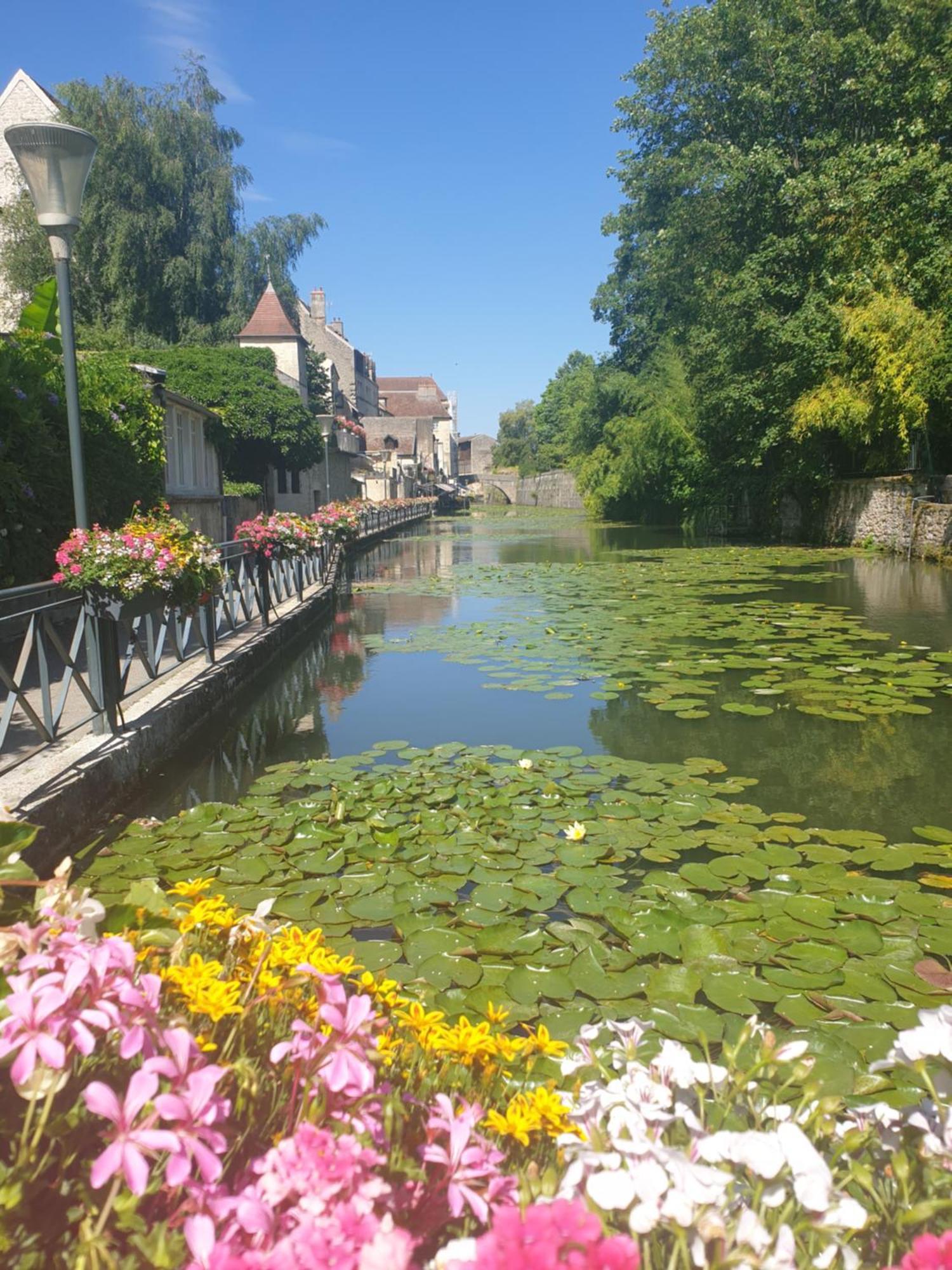 Апартаменти Le Matin Calme - Charme Ancien - Vue Canal Доль Екстер'єр фото